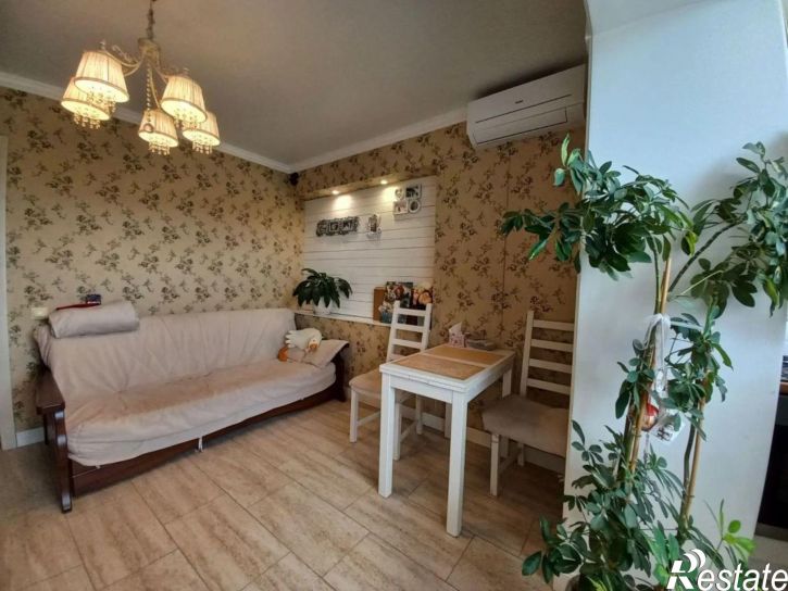 1-комн квартира центральная, 27