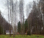 земля 1 сот 